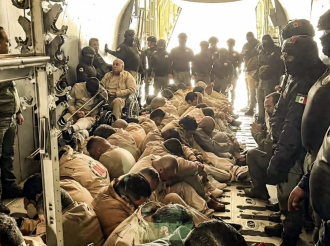 Puros Líderes de Colonia